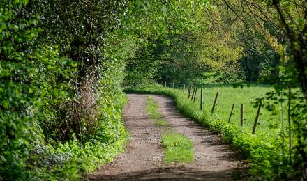 Event at Romantikhotel Jagdhaus Eiden: Guided Tour "Experience the Moor"