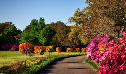 Event at Romantikhotel Jagdhaus Eiden: Park of Gardens – Plant Market 