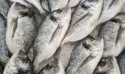 Event at Romantikhotel Jagdhaus Eiden: Tour of the Bruns Eel Smokehouse