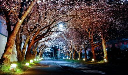 Event at Romantikhotel Jagdhaus Eiden: Illumination – Magic of Light in the Park