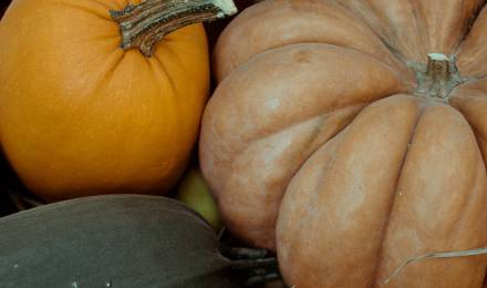 Event im Romantikhotel Jagdhaus Eiden: Herbstbuffet