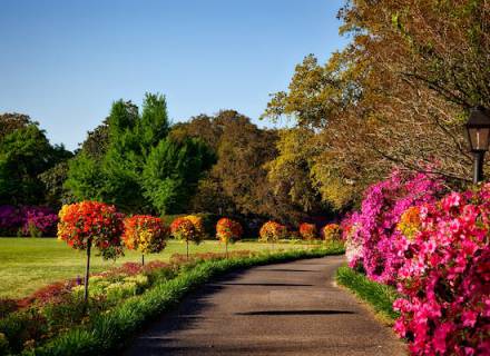 Event at Romantikhotel Jagdhaus Eiden: Park of Gardens – Plant Market 