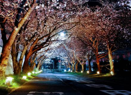 Event at Romantikhotel Jagdhaus Eiden: Illumination – Magic of Light in the Park