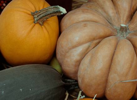 Event im Romantikhotel Jagdhaus Eiden: Herbstbuffet