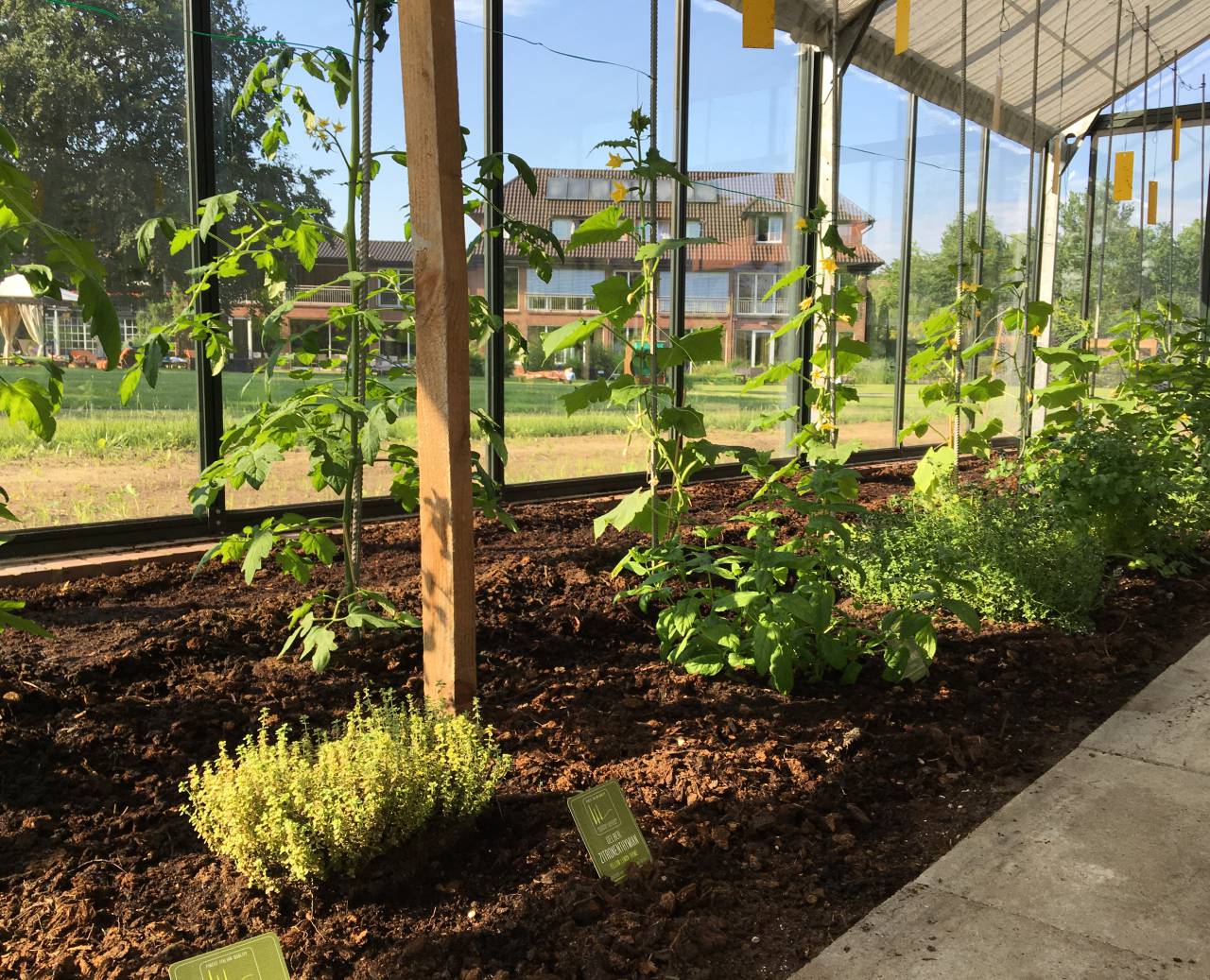 Vegetable garden of the Romantik Hotel Jagdhaus Eiden in Bad Zwischenahn