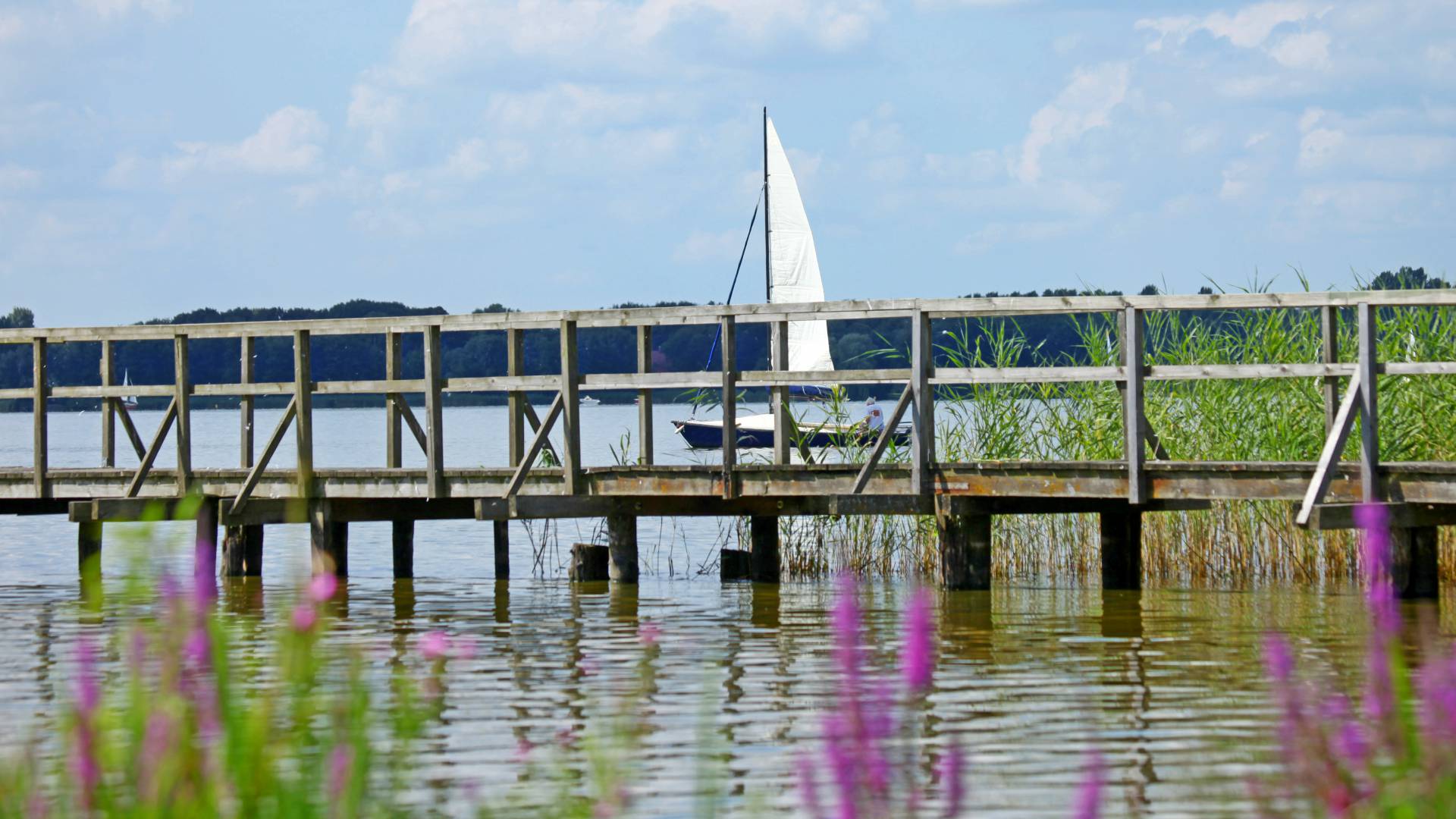 View of the jetty on the Zwischenahner Meer