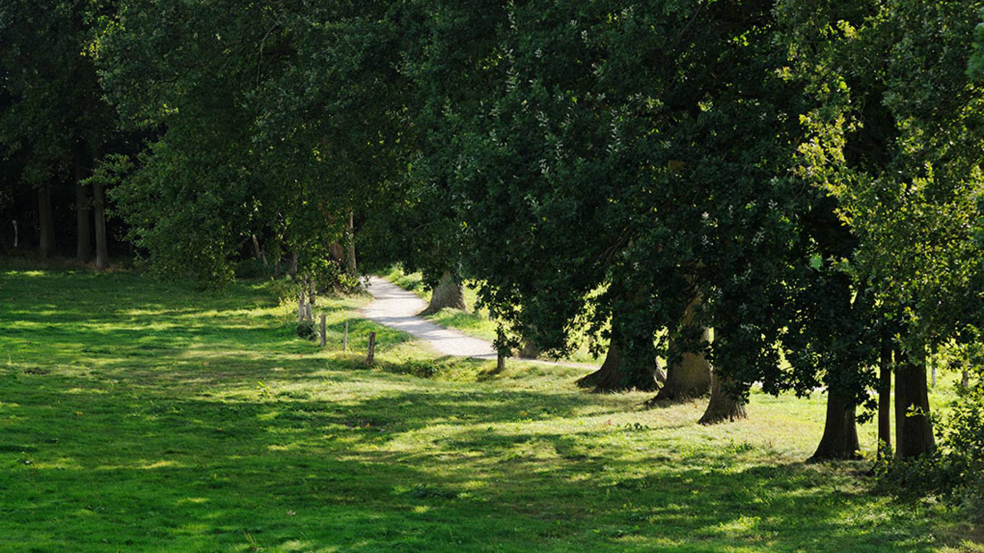 Ammerländer Parklandschaft in Niedersachsen