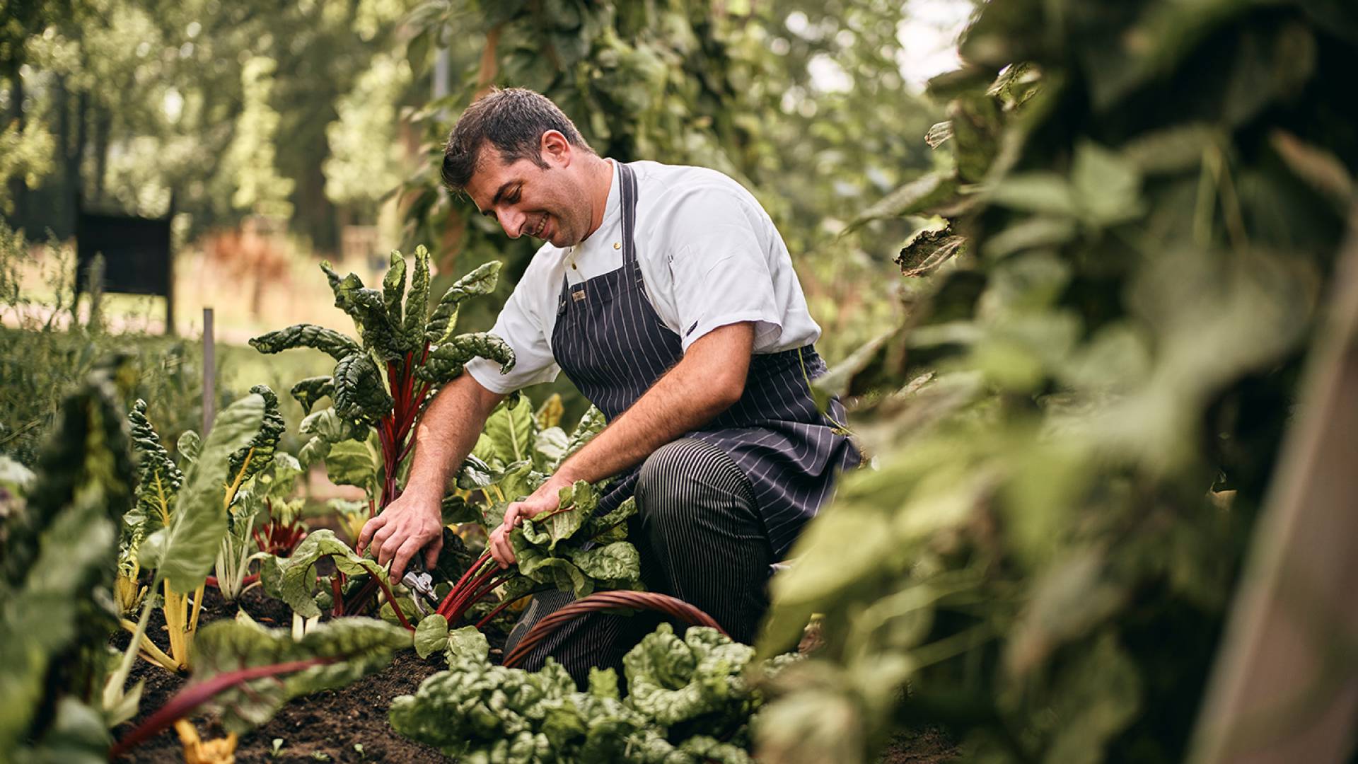  Chef in the vegetable garden of the Romantikhotel Jagdhaus Eiden in Bad Zwischenahn