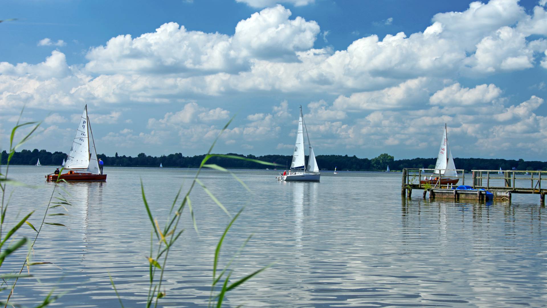 Sailboats on the lake in Bad Zwischenahn