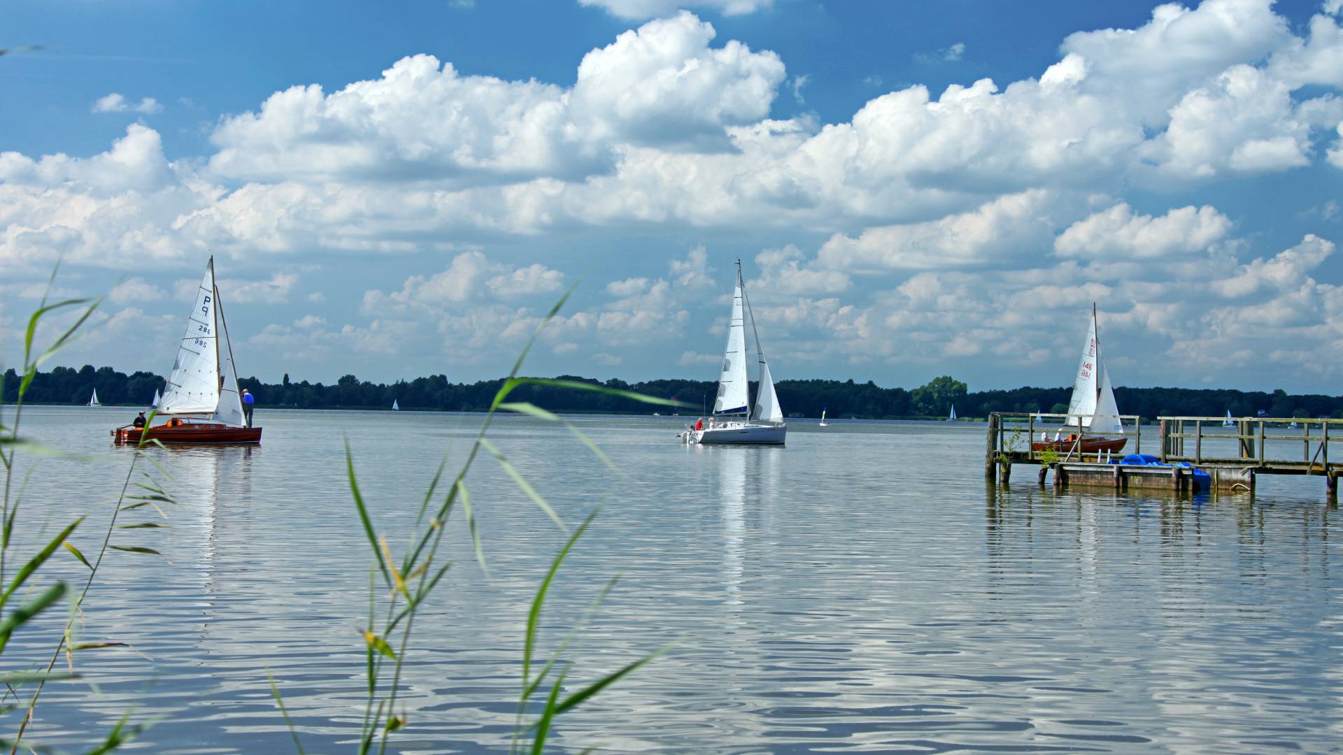 Segelboote auf See in Bad Zwischenahn