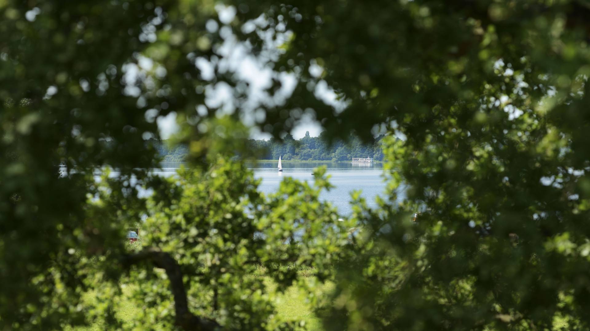 Blick durch Bäume auf den See in Bad Zwischenahn