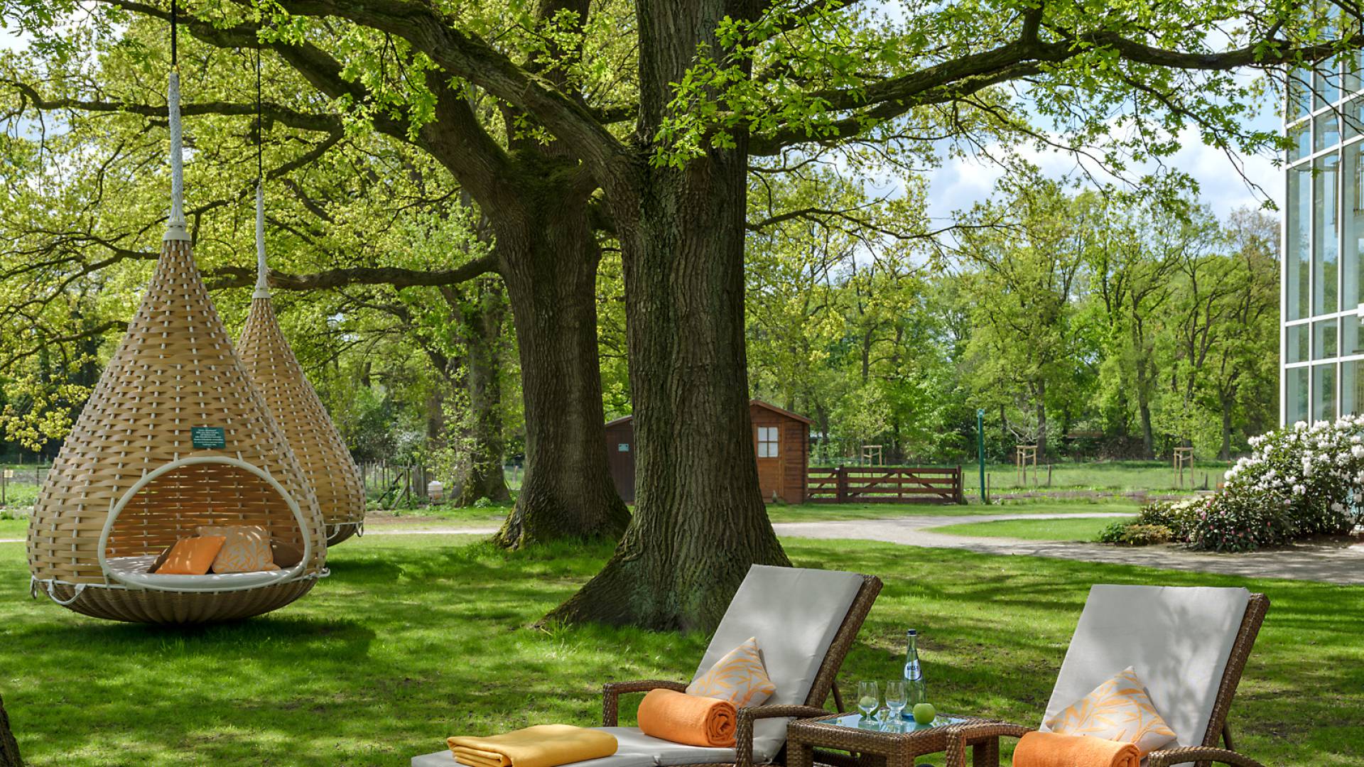 Tree nests on the spa lawn