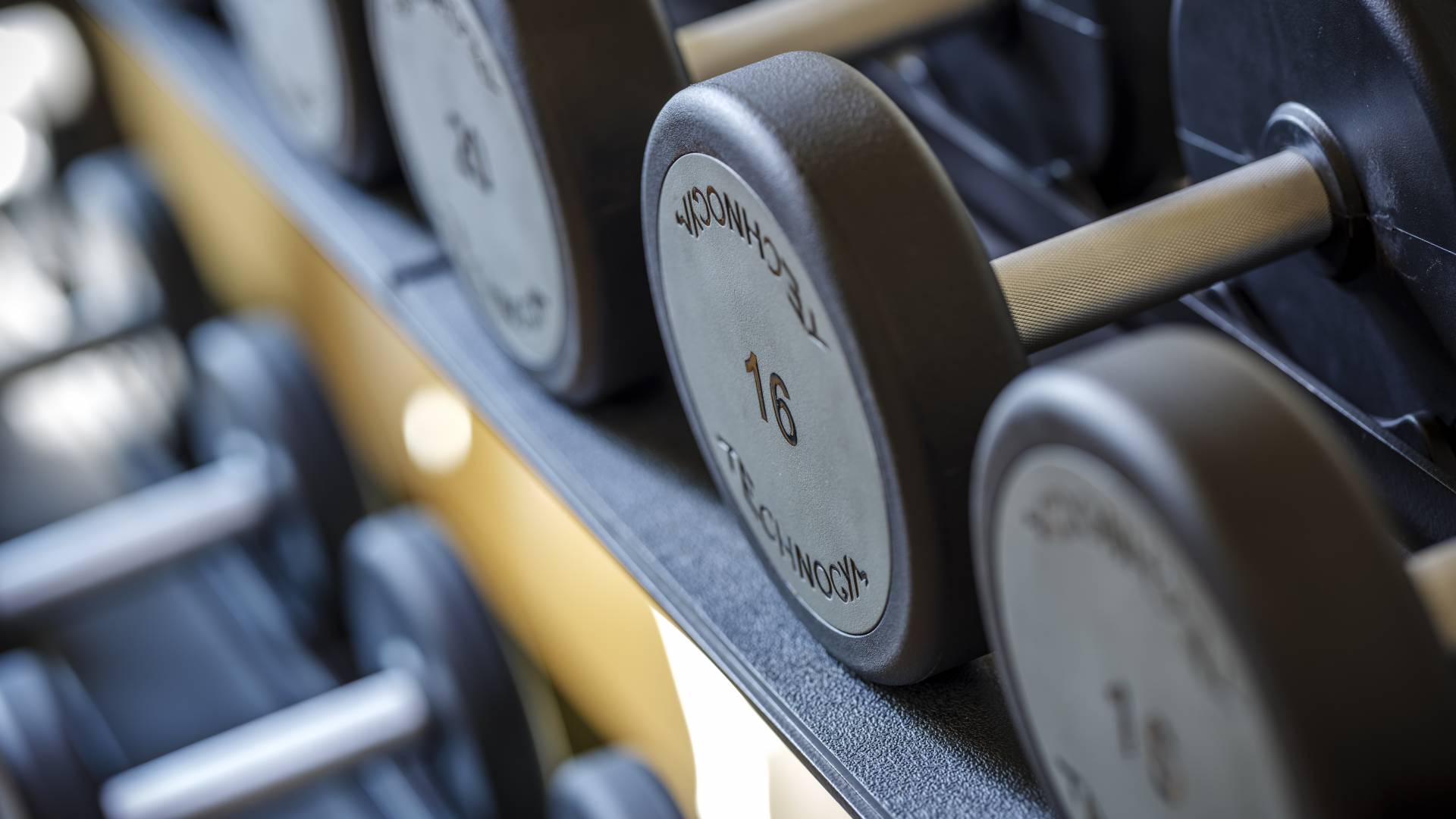 Hanteln im Fitnessraum