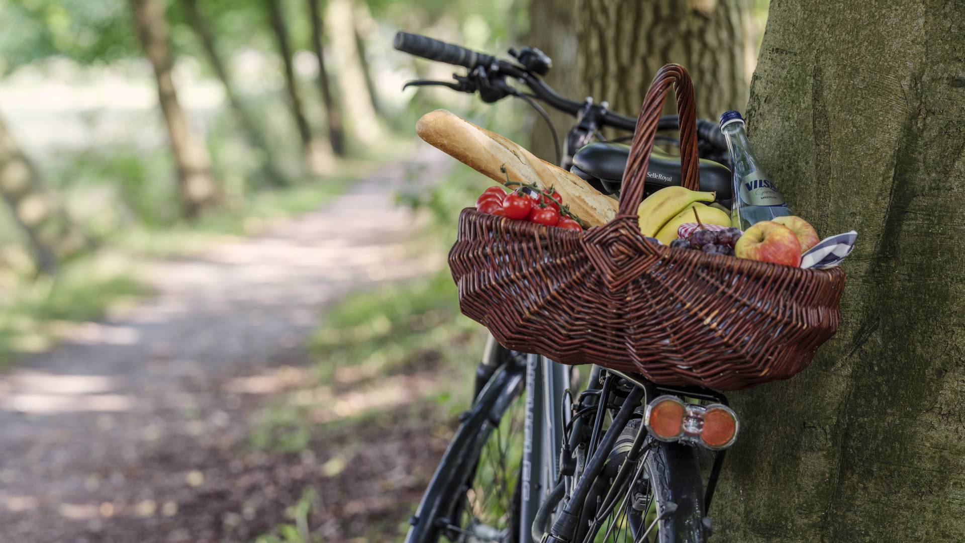 Fahrrad mit Korb im Wald