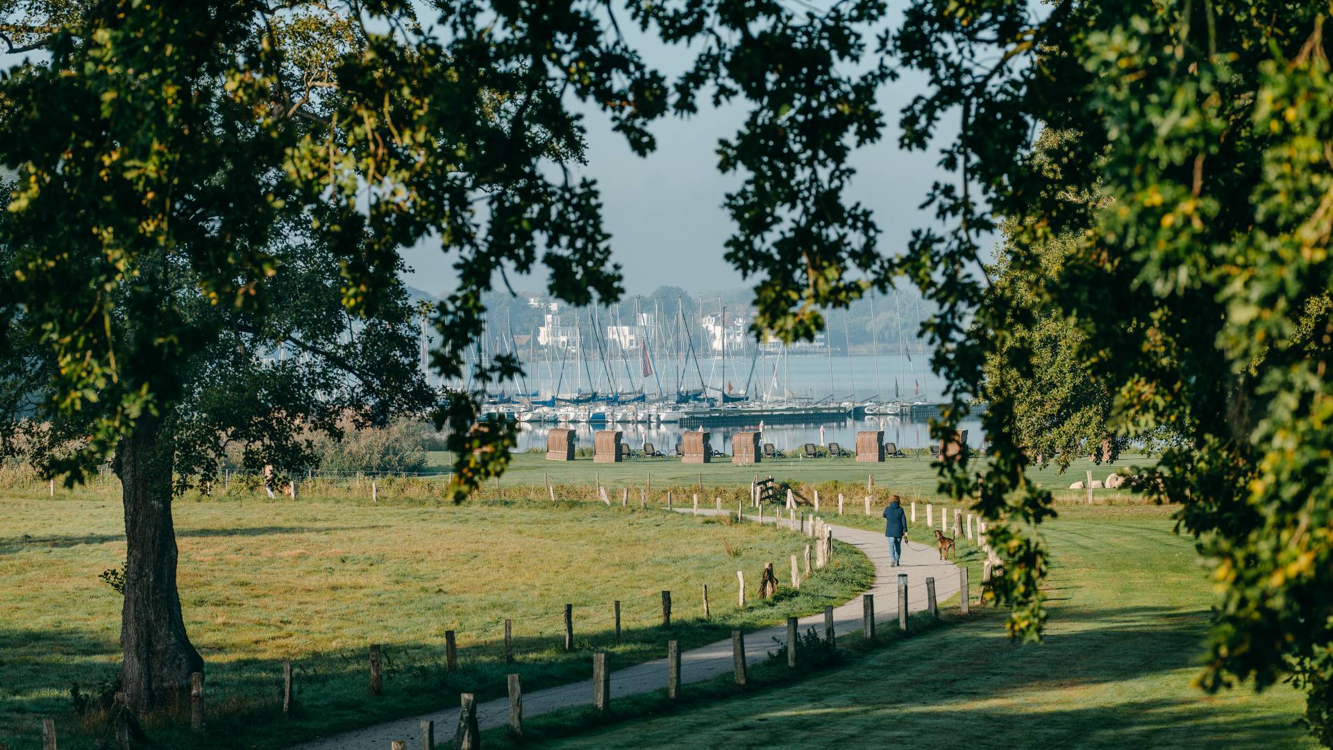 Seeblick Zwischenahner Meer