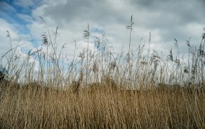 Vorfreude auf den Winterzauber – Ruhe & Genuss am Zwischenahner Meer, Bild 1/1
